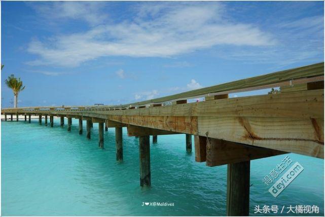 奥臻岛有什么吃的,奥臻岛一价全包多少钱