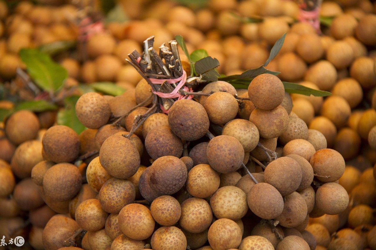 怀孕不同时期吃什么水果讲究大，专家说这样吃，生一个漂亮宝宝