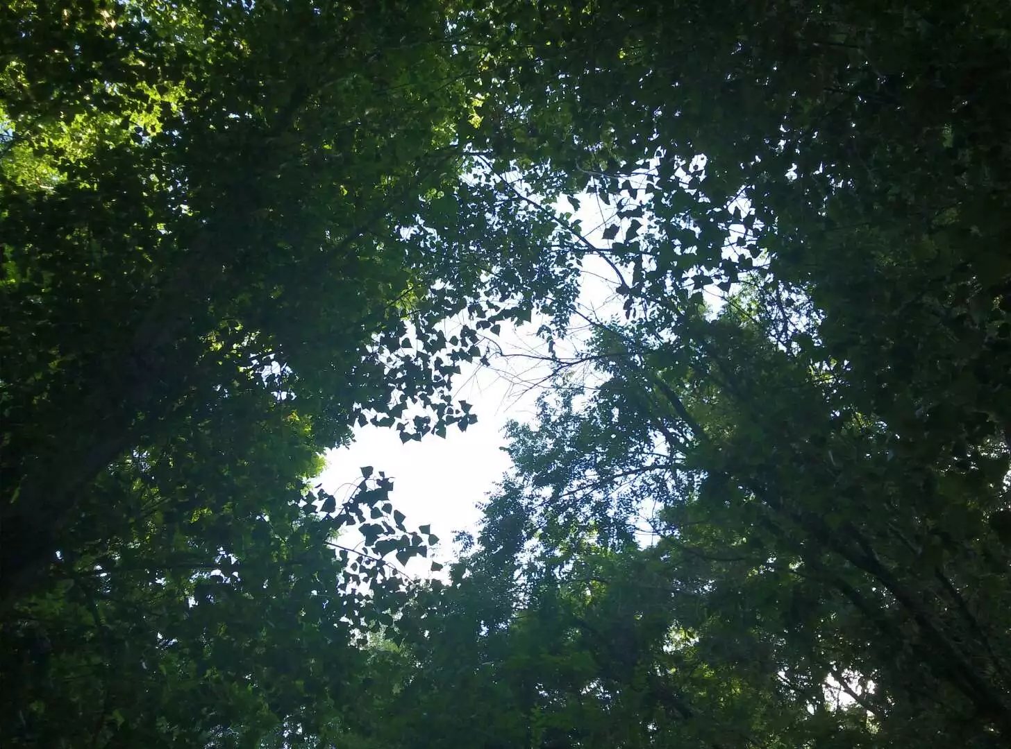 河套学院对巴彦淖尔有什么意义,河套学院巴彦淖尔