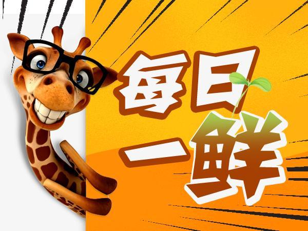 貂皮大衣2980,貂皮大衣5050