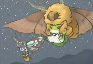 我这个老母亲从青蛙儿子身上，学到了点穿搭学