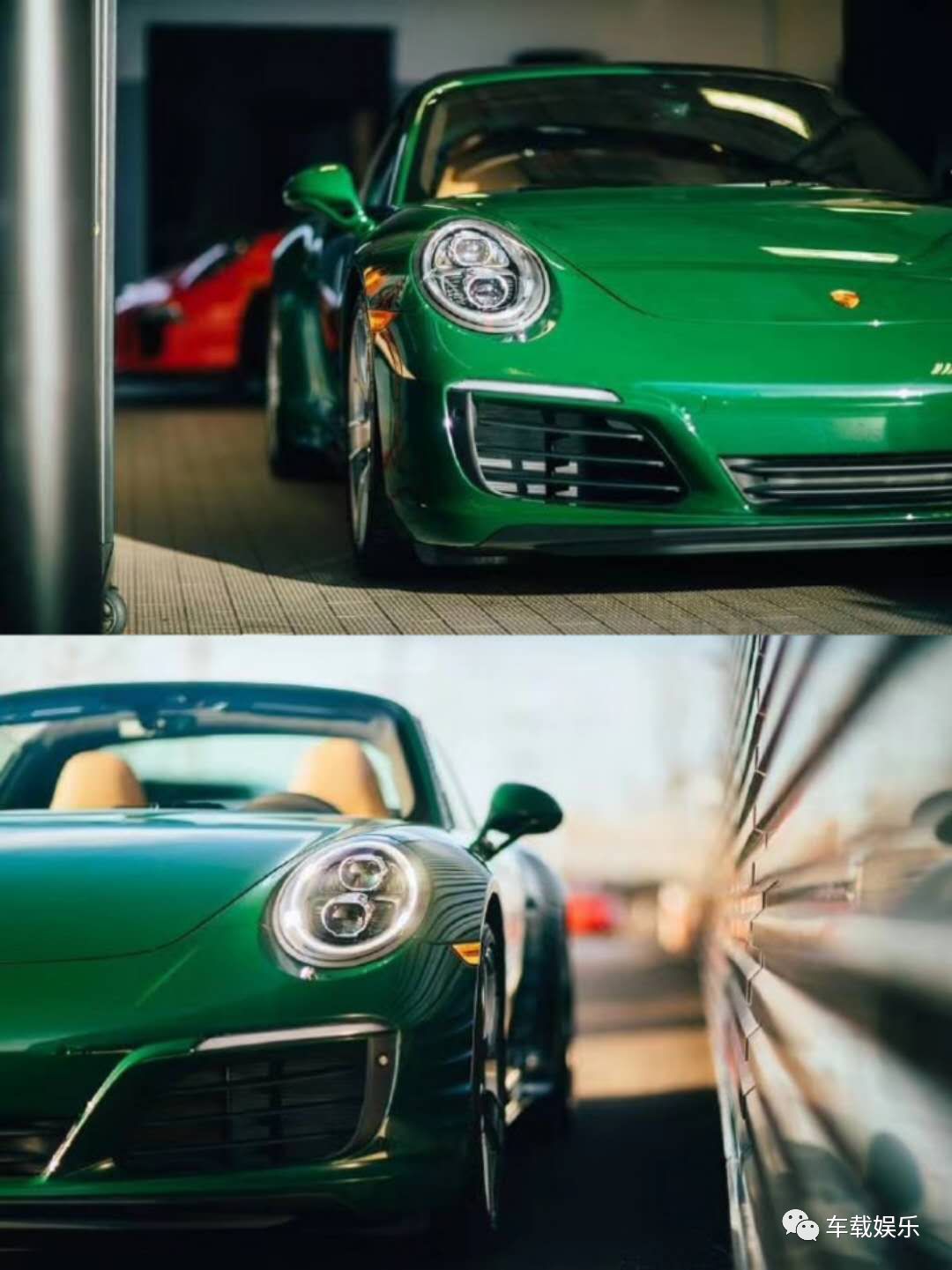 蛙儿子的旅行,蛙儿子旅行