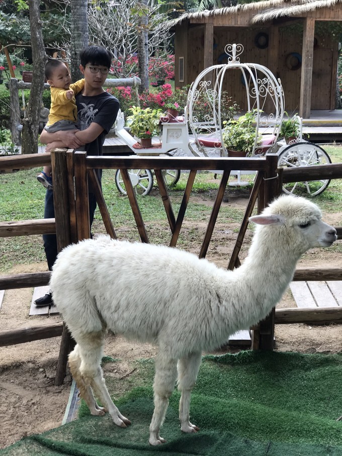 带你玩游世界，熙宝人生第一旅—三亚