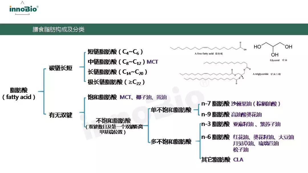 「学食·知识分享会第五讲」国人脂肪酸支持计划PPT