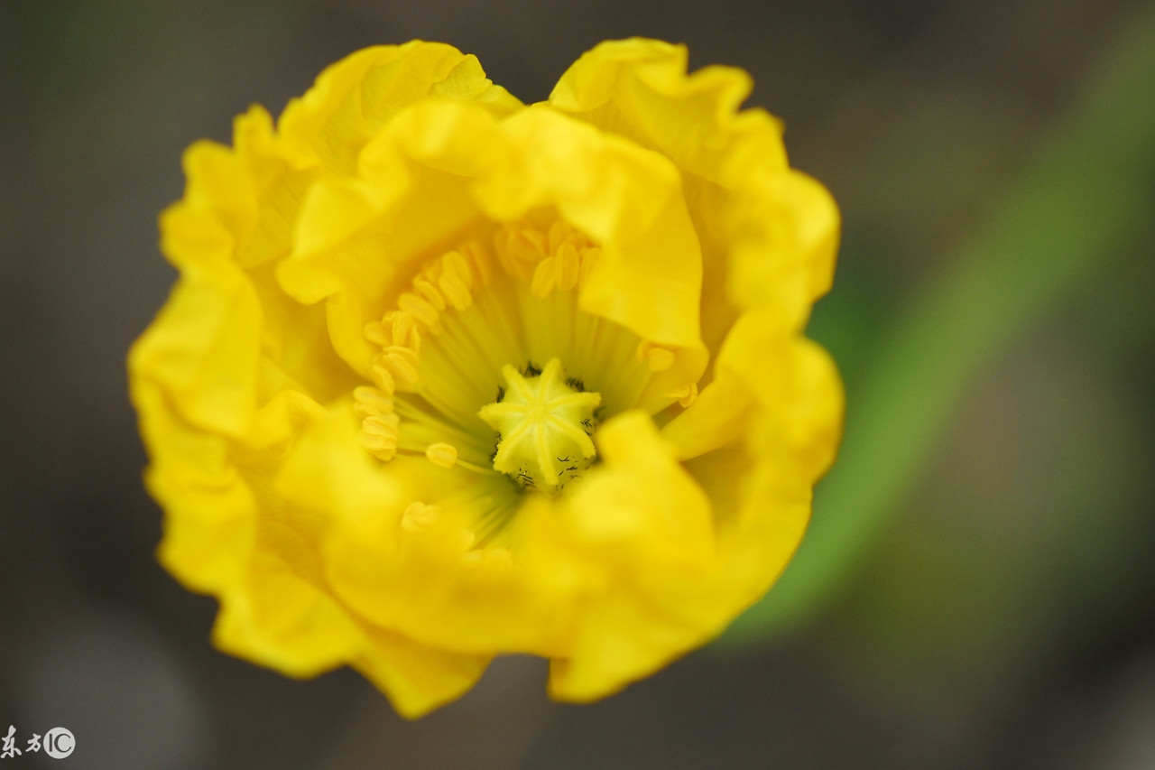 女人最在乎的三种人,不被在乎的三种人