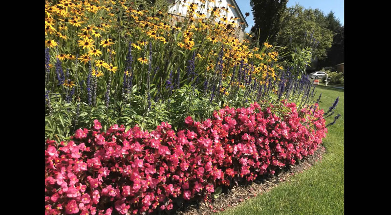 苹果ipadmini4平板,ipadmini6和ipad9