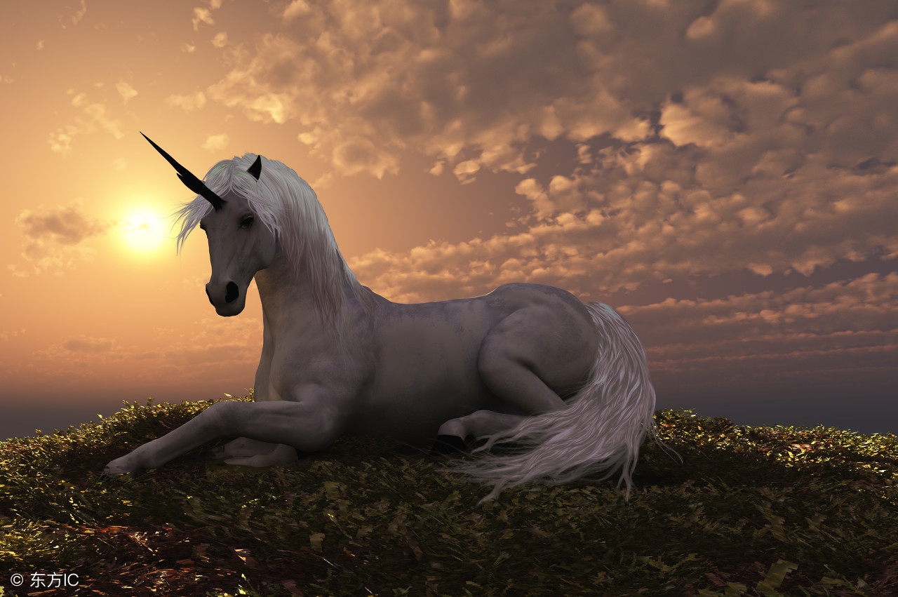 怎么成为万亿市值公司,如何成为独角兽企业