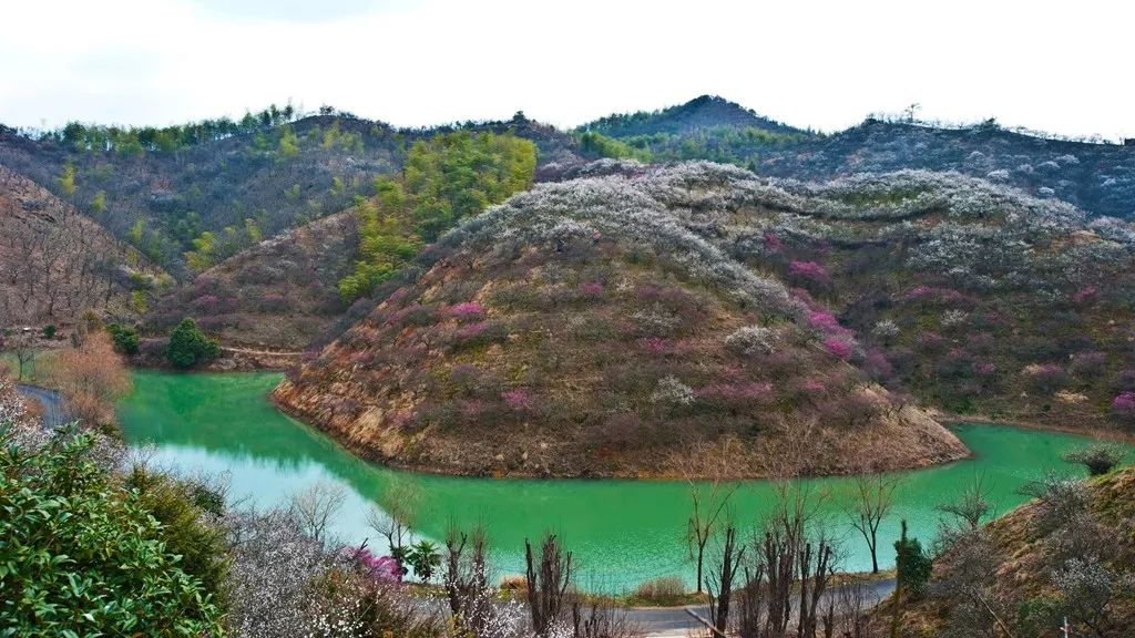 浙江安吉号称第一竹乡吗,安吉联合国最宜居城市