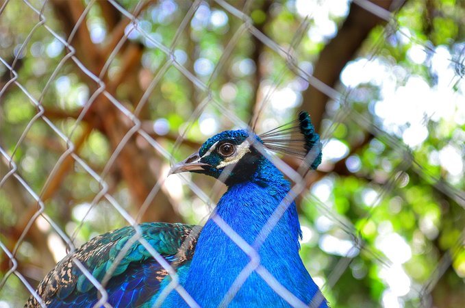 人间仙境三亚,三亚人间天堂全景