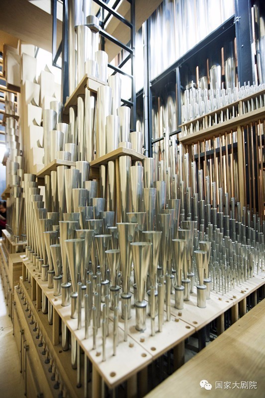 给200位顶级音乐家做调琴师，是怎样一种体验||艺术改变生活