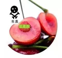 吃樱桃中毒了会有什么症状,吃了五斤樱桃中毒了