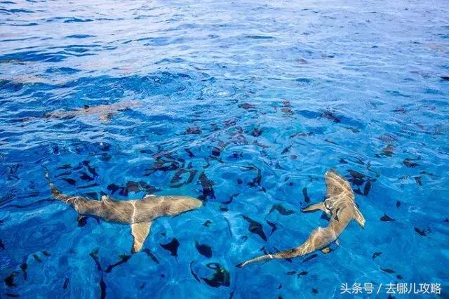 免签国家一览表最新,2023最新免签国家