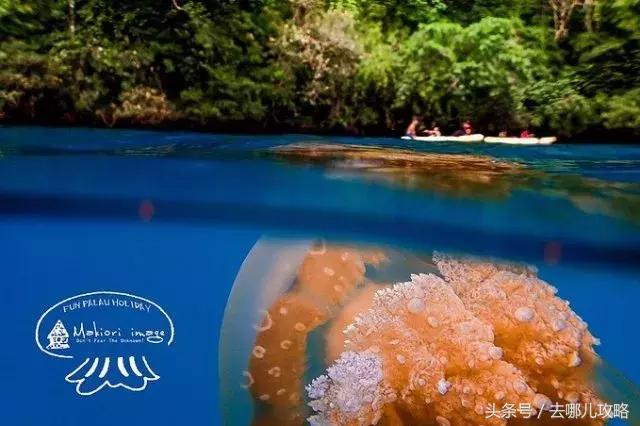 免签国家一览表最新,2023最新免签国家