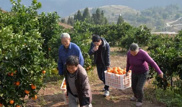 巫溪文旅走进渝中,重庆文旅巫溪