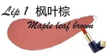 枫叶色口红100种,枫叶红口红唇釉9.93支