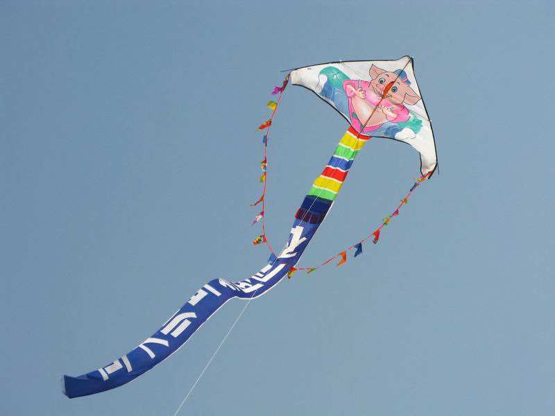 以风筝为题的片段,以风筝为主题写一首小诗