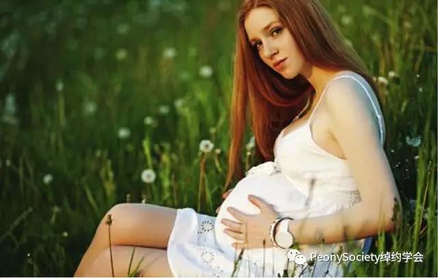 升级版乳香精油,千年乳香精油