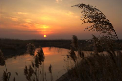 怎么列作文提纲高中,如何教列好写人作文提纲教学视频