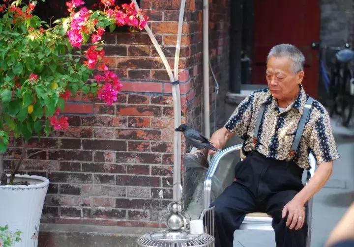 魔都老克勒,北京帝都老炮儿