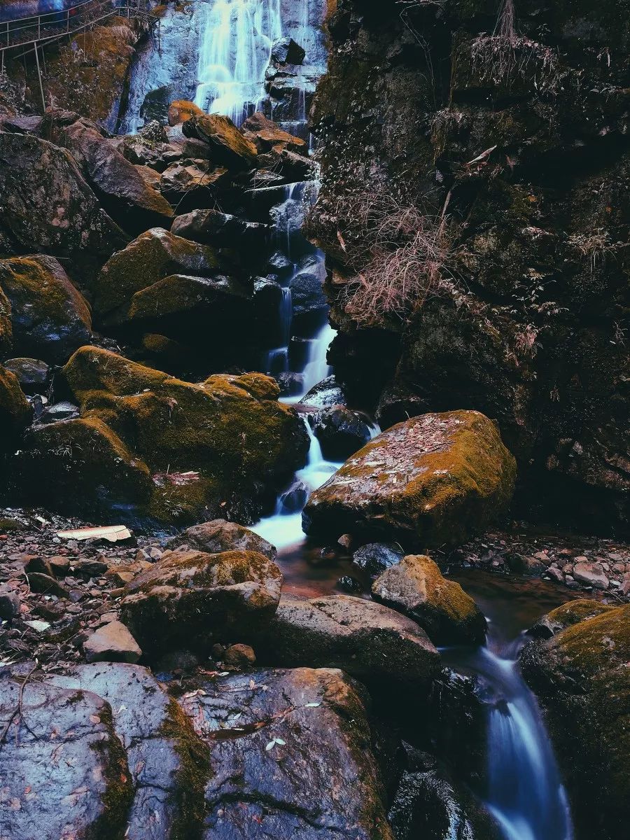 浙江安吉号称第一竹乡吗,安吉联合国最宜居城市