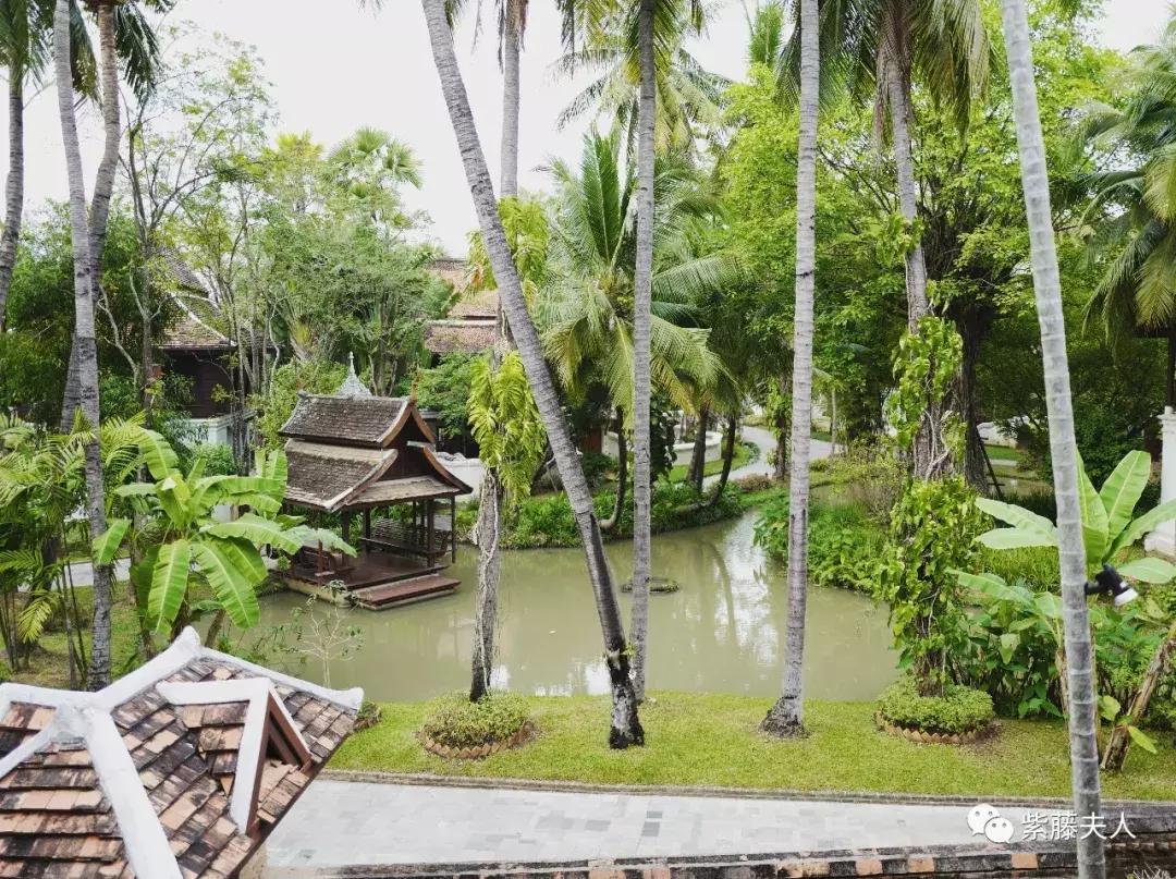 去泰国清迈旅行攻略,最新泰国清迈旅游攻略