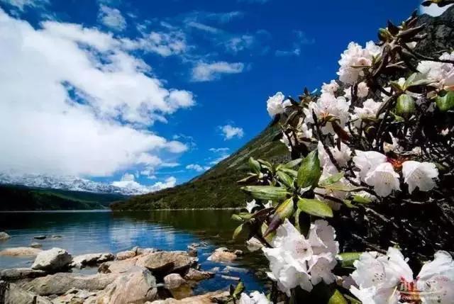 川西小众景点地图,自驾川西甘孜不能错过的小众秘境