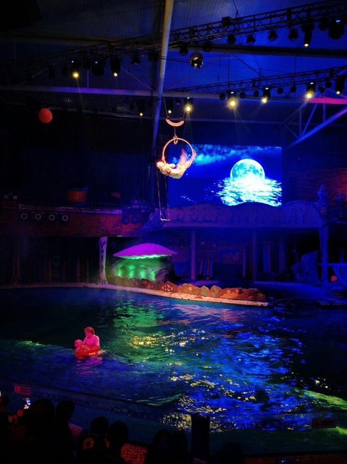 一家老小都去旅游啦,一家老小去游玩