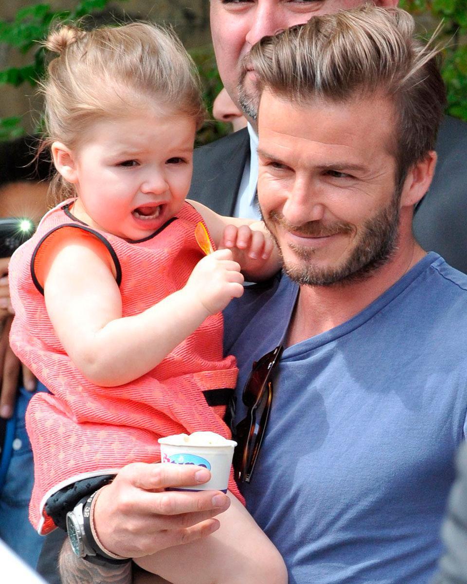 小七哈珀和小贝,小七和布鲁克林图片