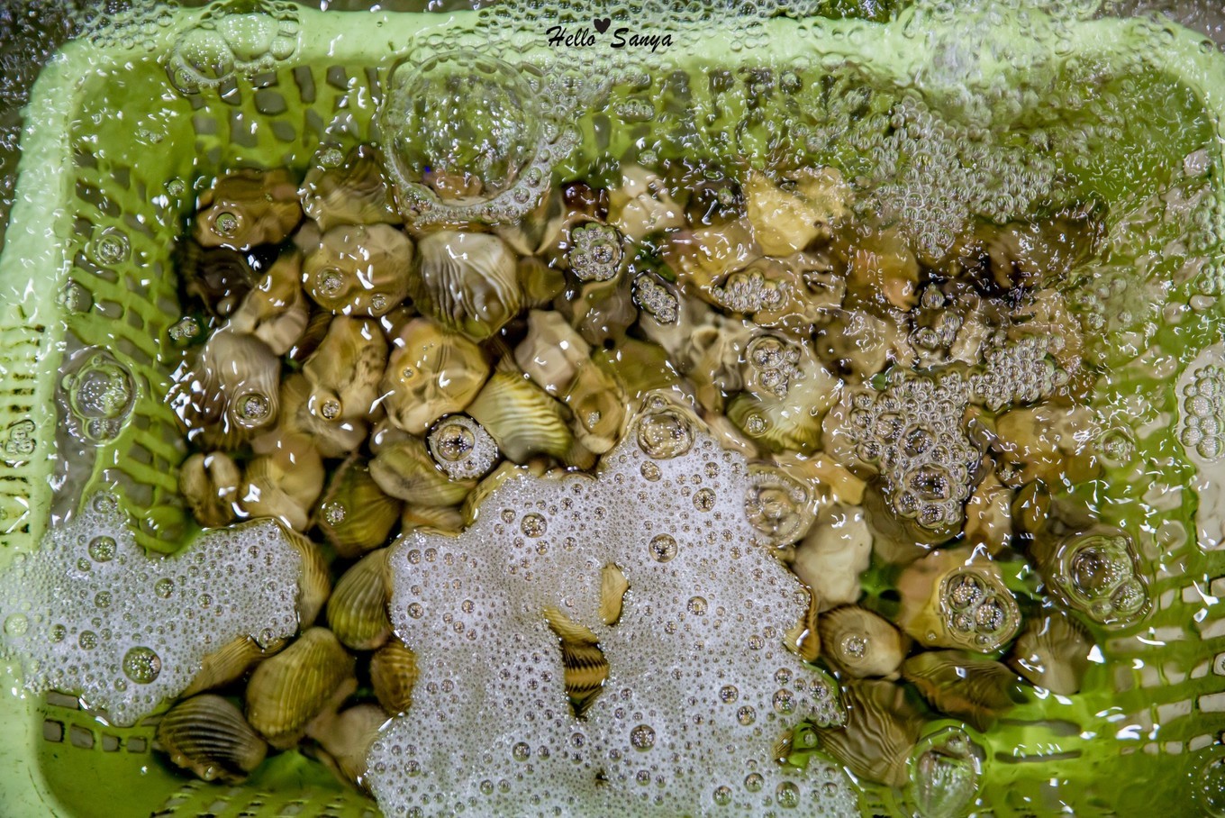 吃货们的福利，春节来三亚，墙裂推荐的特色美食全攻略