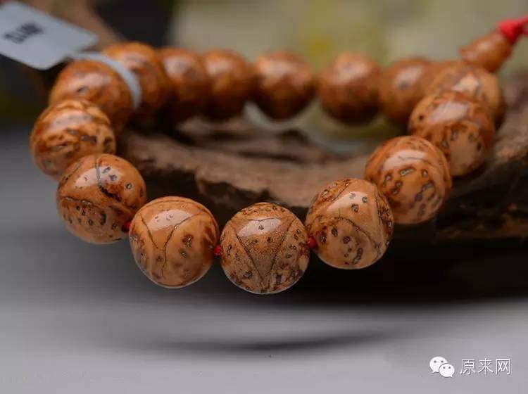 菩提本无树，果实作文玩