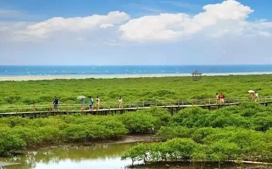 广西北海天气一年四季怎么样,北海算不算是广西最好地方