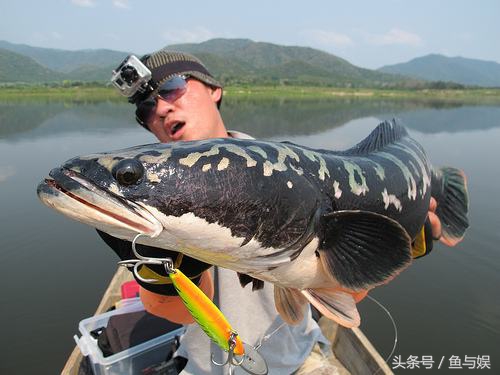 贵的就好么?鱼线轮价格比我贵13倍,抛头距离却只远了10米!