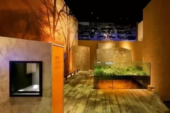 上海17号线到东方明珠,上海17号线东方绿舟