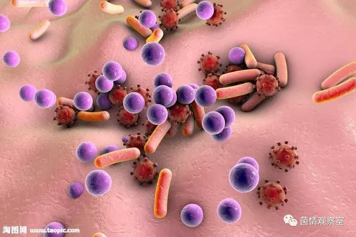 皮肤健康的守护神拔毒止痒王,皮肤守护神药膏臭吗