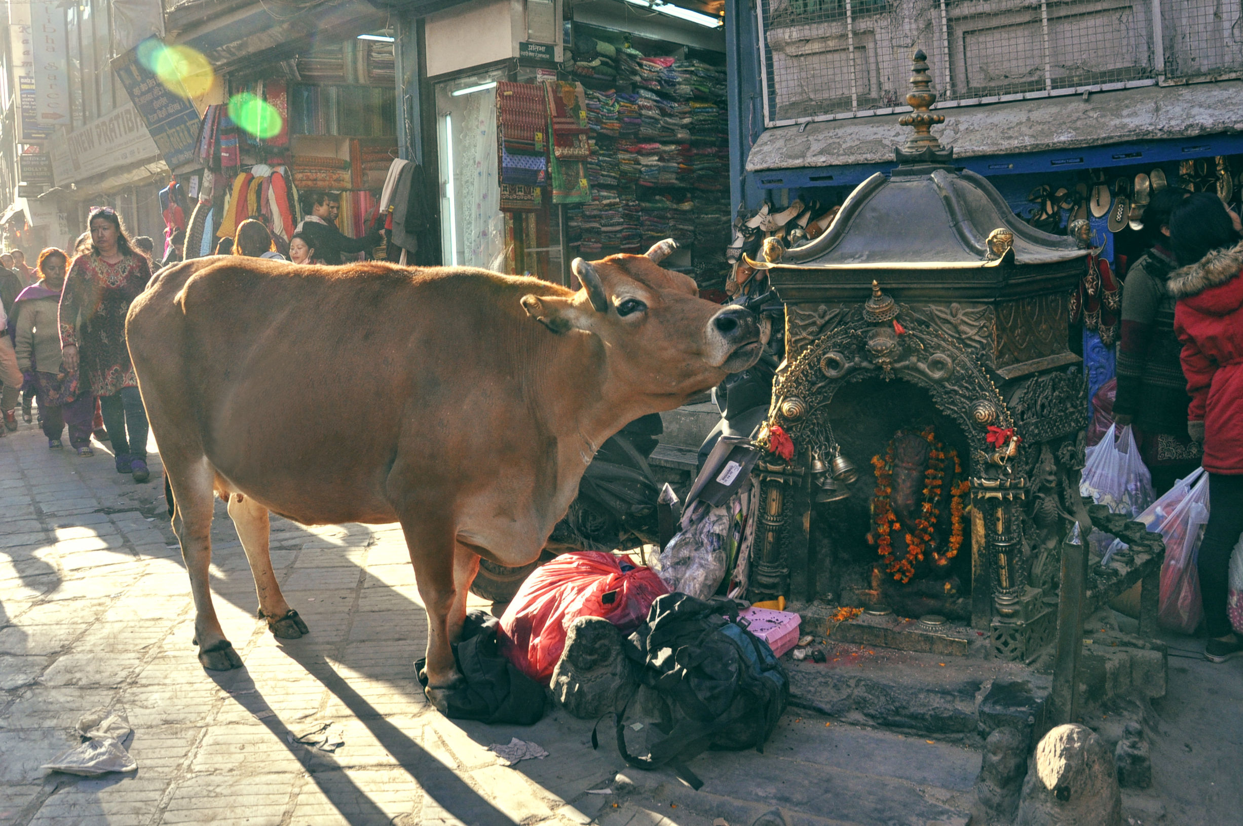 尼泊尔行者完整版,尼泊尔行摄