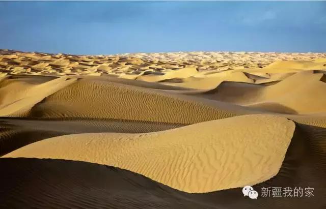 面积是全国最大县，农民收入直逼上海，说的就是*疆新**这个县