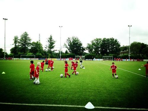 中国六大体校,中国青训四大足校