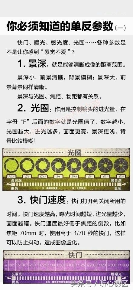 单反摄影入门速成10个绝招,单反摄影入门教程从零开始