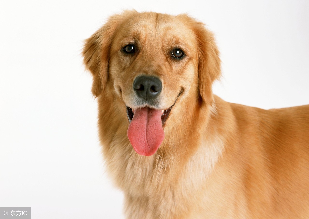 知识点清单一点通,anumberof和thenumberof用法