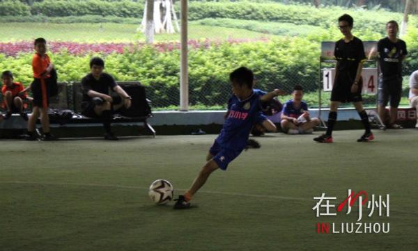 2024柳州小学生足球比赛,柳州小学区长杯足球比赛