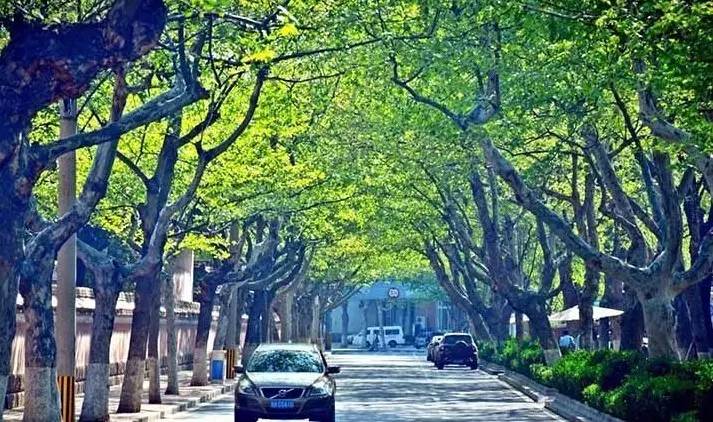 这家酒店居然能睡出时尚奢侈品|最旅行约睡，你来吗？