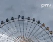 新闻FAN|顺手牵了个编织袋过海关谁也没猜到结局是！