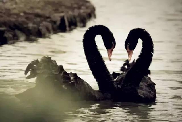 揭秘大学内幕,哈工大辟谣传闻