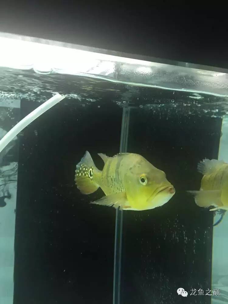 开启人生第二个阶段,开启人生中的第三年