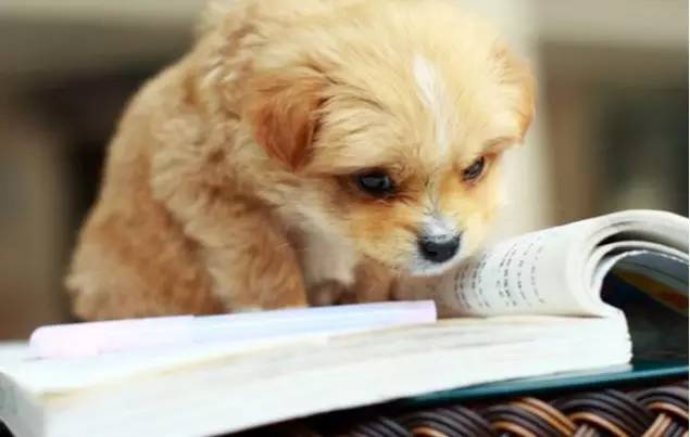 黄老邪更新的视频,黄老邪讲邪门视频