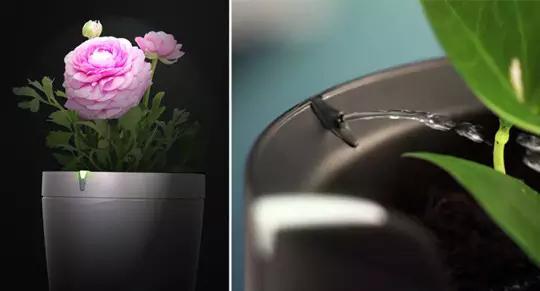 拉斯维加斯ces2024,拉斯维加斯ces2024三星展