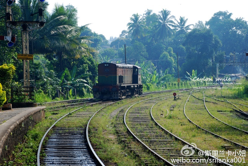 新手小白入门指南买茶小技巧,小白学茶的100个基础