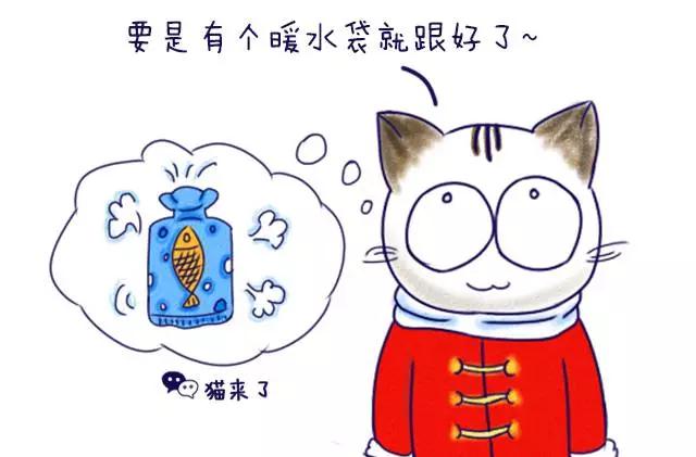 怎么通过客车运送宠物,火车宠物托运怎么办理