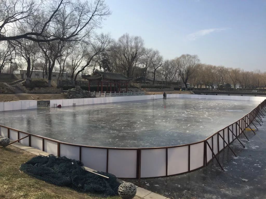 少年强则国强体育篇,冰雪运动校园蓬勃发展