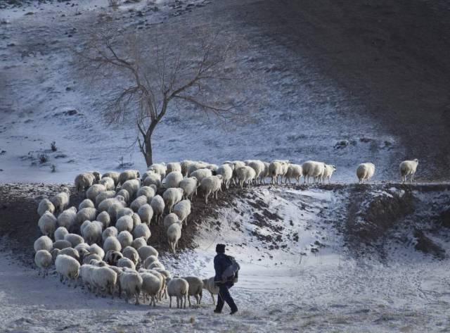 爱上呼伦贝尔的理由,爱上准格尔的十大理由